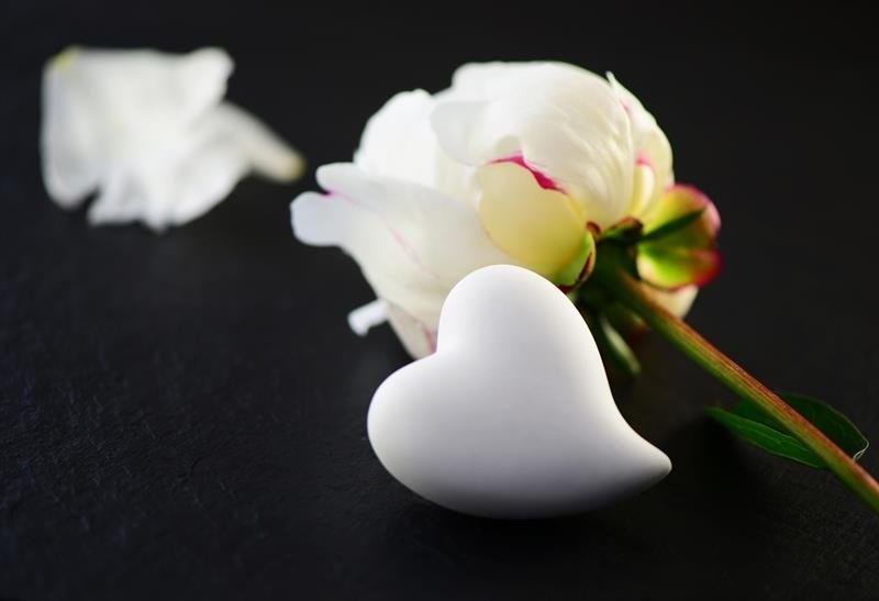 Profilbild von Johann Mann