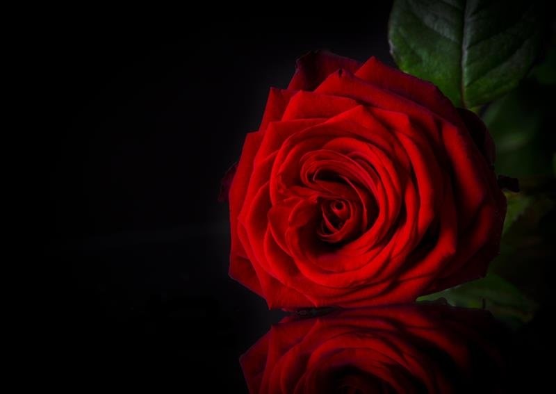 Profilbild von Markus Schiffers